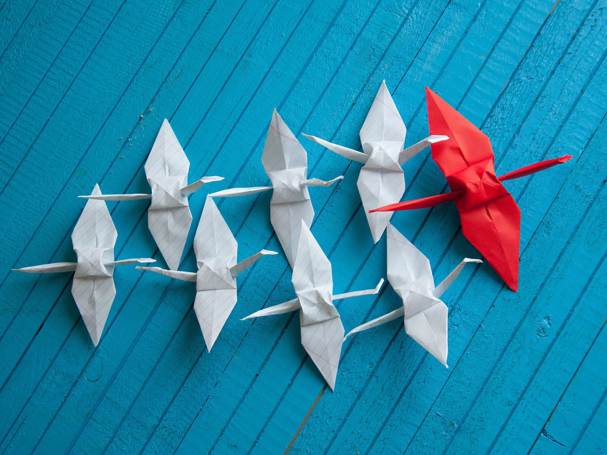 Why Servant Leadership Drives Results